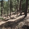 Hiking the West Spruce mountain trail