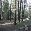 Along the Mormon Mountain trail