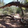 Fossil spring trail