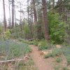 Trail to Vultee arch