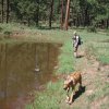 Happy dog and hiker along the Los Burros trail