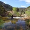 Crossing Fossil creek