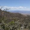 Woodchute trail