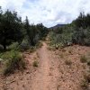 Along the Woods Canyon trail