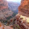 Views from the North Kaibab trail