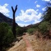 Bull Pen ranch trail