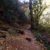 Fall colors along the Templeton trail