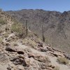 Quartz peak trail