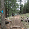 Hiking along the Woods Canyon Lake trail