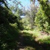 Hiking around Willow Creek Lake