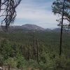 Views from West Spruce mountain trail