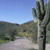 along the Pipeline canyon trail