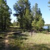 Along the Willow Springs Lake trail