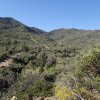 Views from Kellner canyon trail