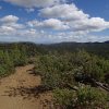 Hiking along the Smith Ravine trail