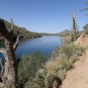 Saguaro lake