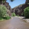 Aravaipa creek