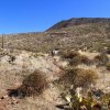 Hiking along the trail to Rondo Spring