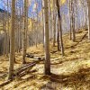 Hiking along the Inner basin trail