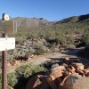 Gateway loop trail - McDowell Mountain preserve