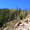 Fall colors on Mount Elden