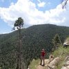 Hiking on the Little Bear trail