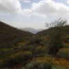 Along the Pipeline canyon trail