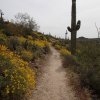 Elephant mountain loop trail (Spur Cross)