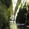 Oneonta gorge