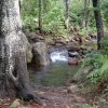 Christopher creek from the See Canyon trail