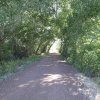 The Peavine trail