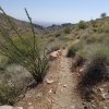 Ford Canyon loop hike