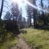 The Salida view trail