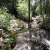 Aspen loop trail