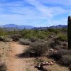 Wild Horse (Lead) trail