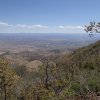 Woodchute trail