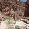 Hiking in Havasupai canyon