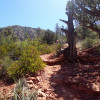 Where you turn left to start the hike up Capitol Butte