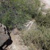 Spring at the Ben Avery trail