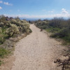 Views from the Marcus Landslide trail