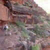 Hiking along the Hermit trail