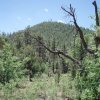 Porter mountain as seen from the Panorama trail