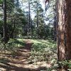 Along the Crystal point trail