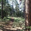 Along the Crystal point trail