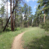 Hiking the Feldmeier trail