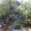 Cave Creek loop hike