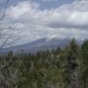 San Francisco peaks as seen from Fisher point