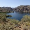 Saguaro lake