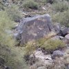 Petroglyphs along the Waterfall trail (White tank regional park)