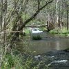 Fossil creek